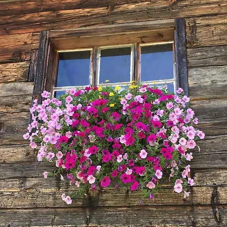 Landhaus Hinterbichl Daire *